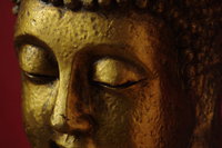 buddah.jpg