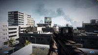 bf33.jpg