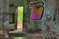 06.jpg