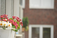 selective-farben-01-normal.JPG