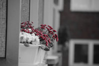selective-farben-02.JPG