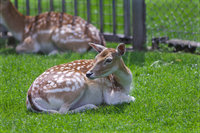 maastricht_tierpark-5.jpg