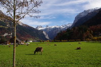 2013-10-25 engelberg 065.jpg