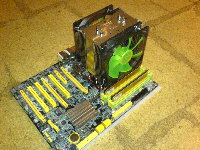 DSC00317.JPG