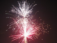 silvester3.jpg